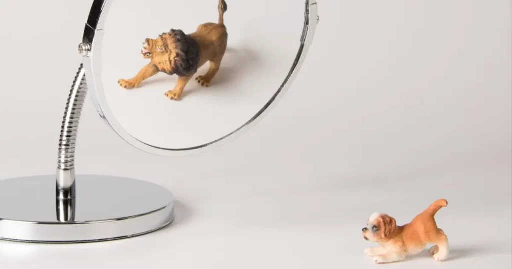 Pet com autoconfiança se vendo no espelho como um leão